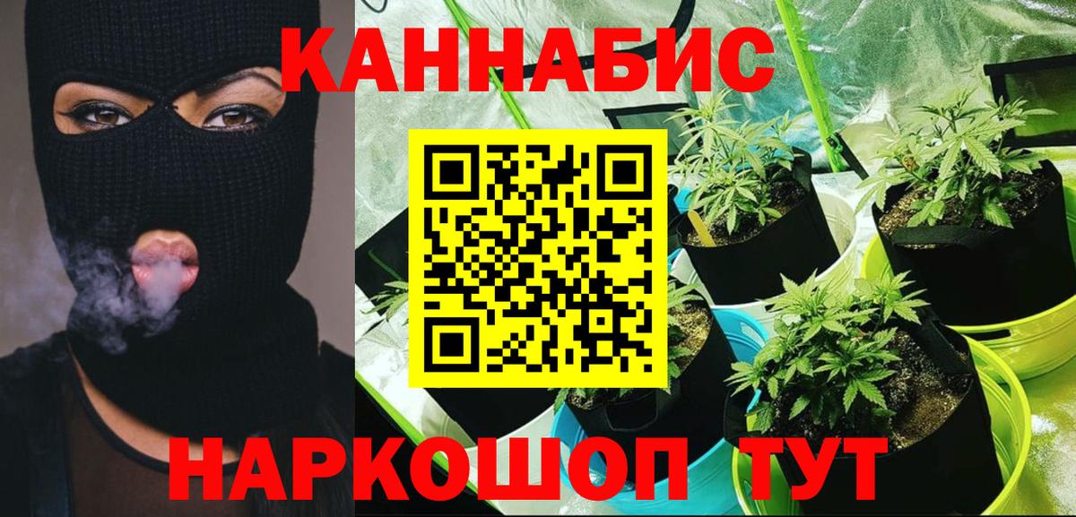 Каннабис план Железноводск